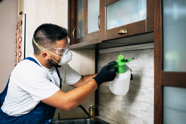Best Flea Control Services  in Pelham, GA