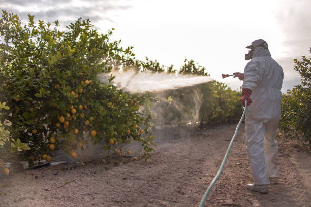 Best Insect Control  in Pelham, GA