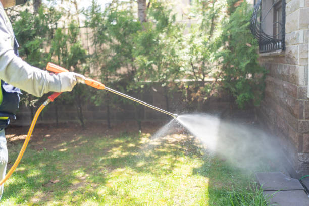 Best Exterminator Services  in Pelham, GA