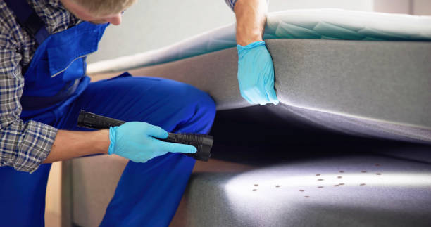 Reliable Pelham, GA Pest Control Solutions