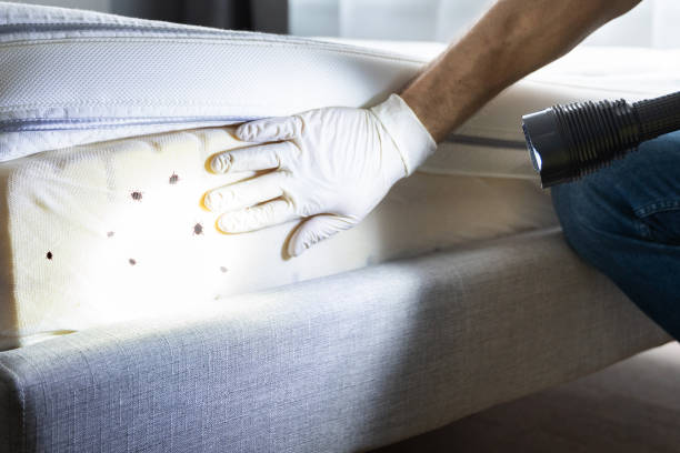 Best Wildlife Control Services  in Pelham, GA