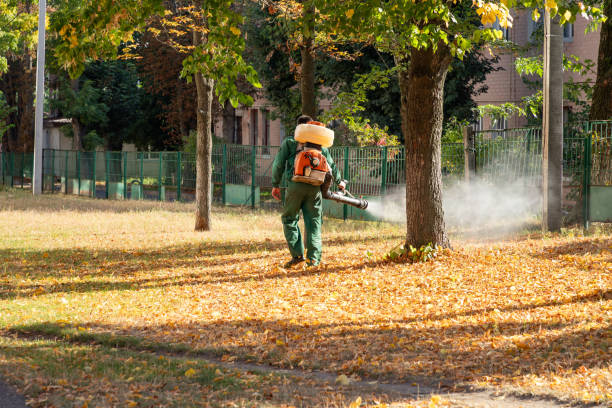 Best Exterminator Services  in Pelham, GA