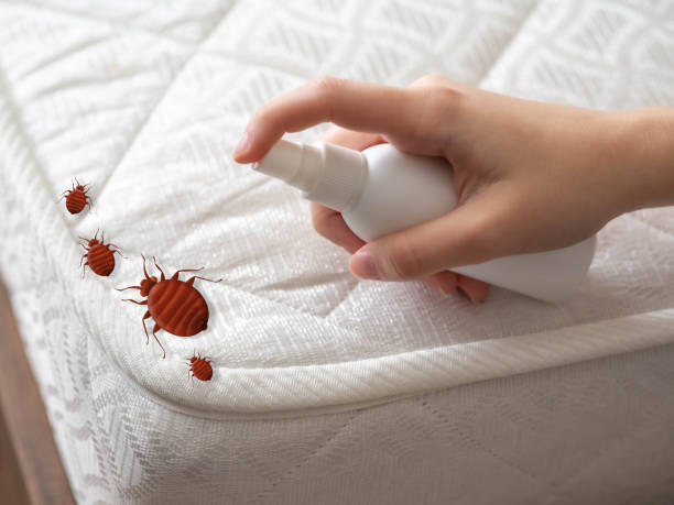 Best Commercial Pest Control Services  in Pelham, GA